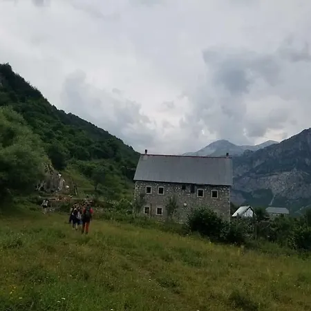 Bujtina Ndue Mitri 2* Palc